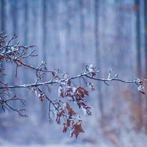 Meet your Posher, Kay